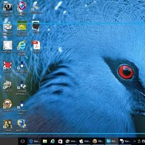 Meet your Posher, Peter